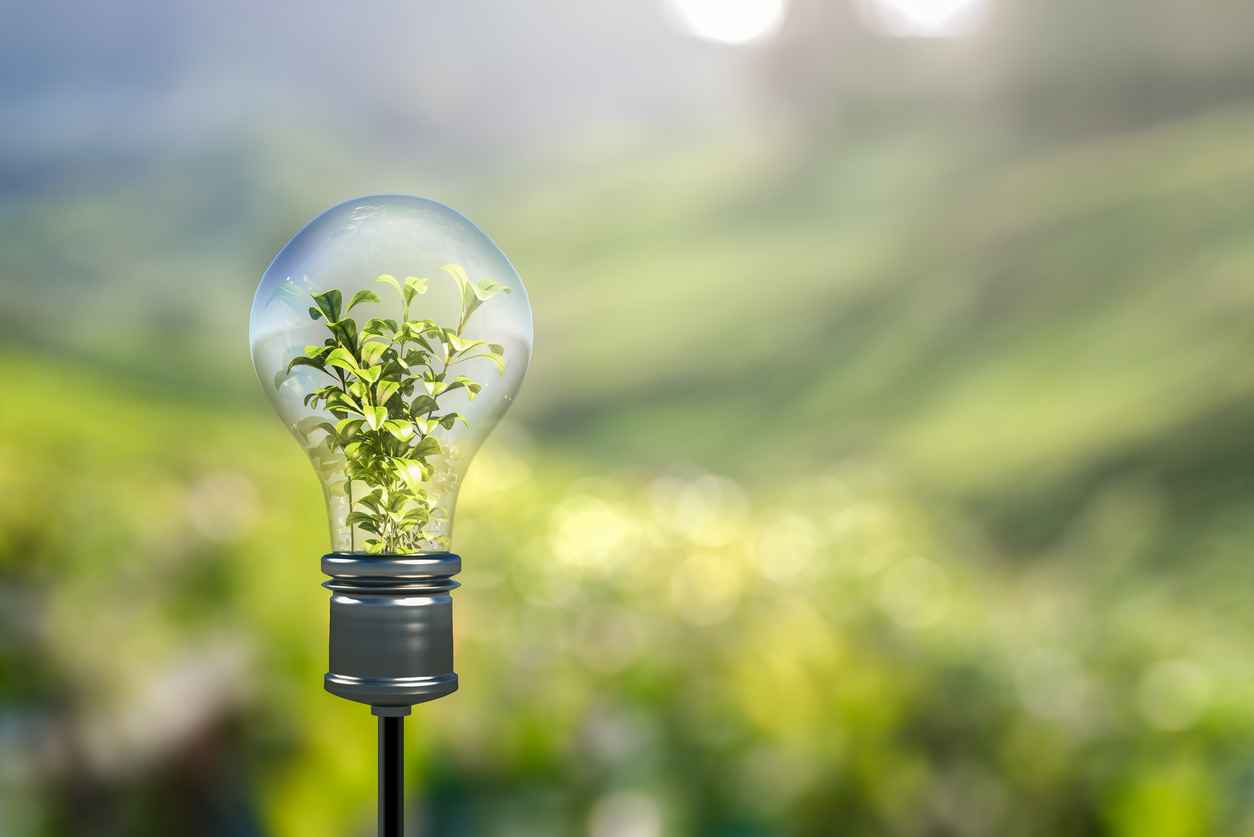 Light bulb with green plant sprout inside, eco-friendly tech habits